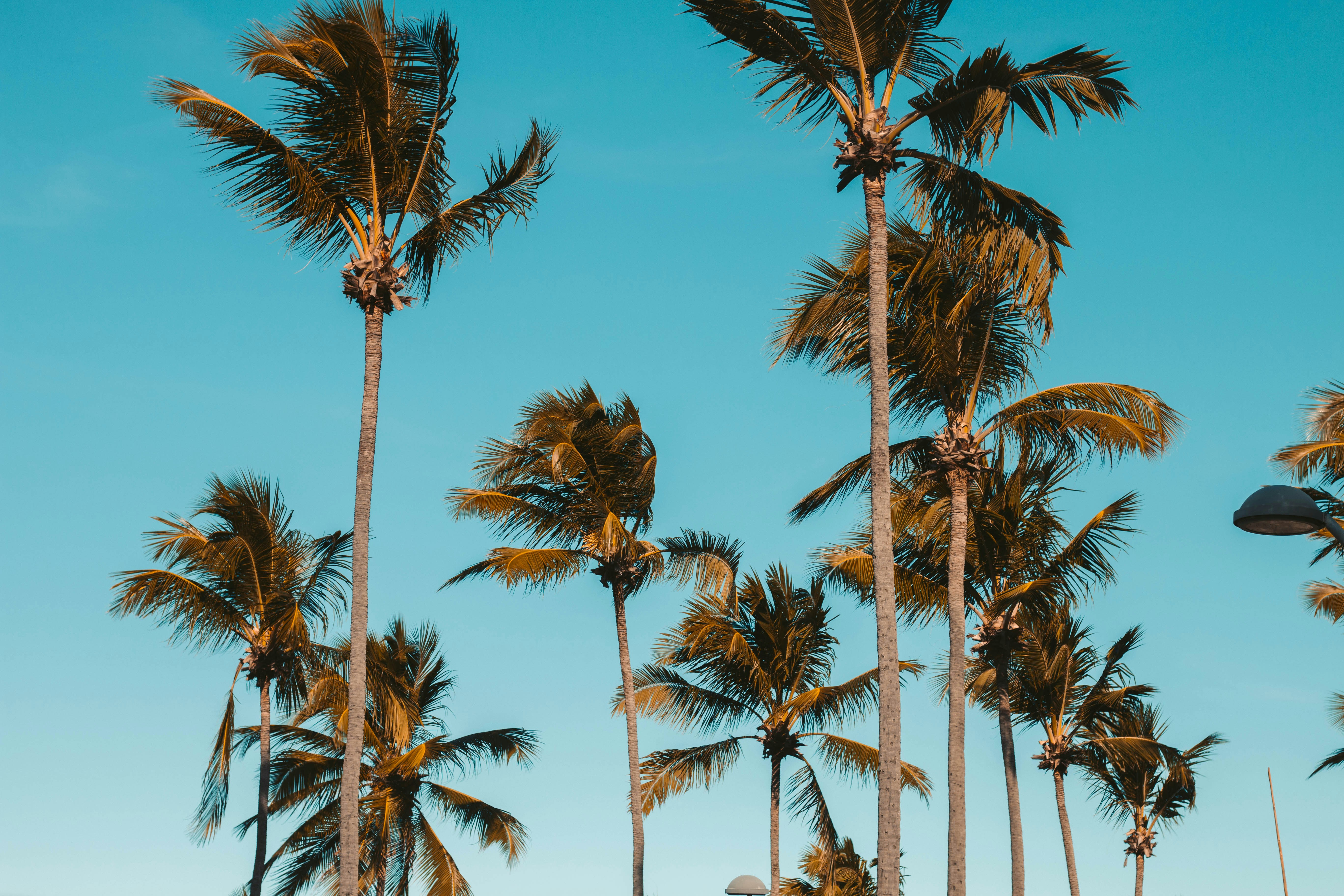 Photo by ricardohenri