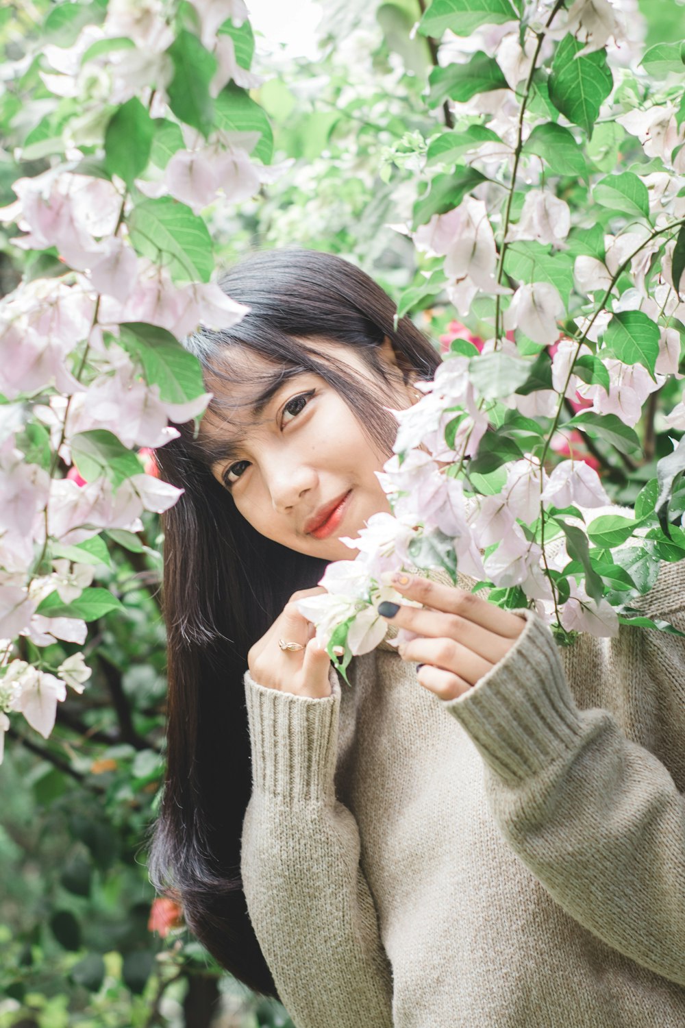 woman in gray sweater holding pink flowers