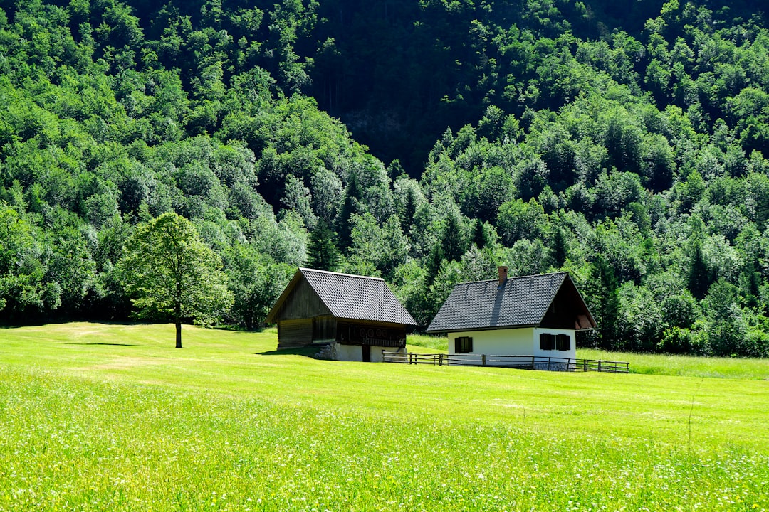 Cottage photo spot Bohinj Lake Bled