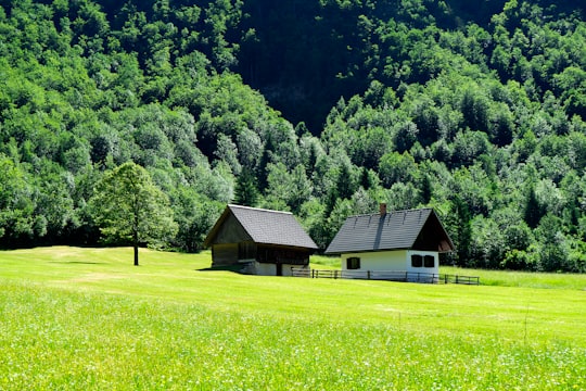 green grass field near green trees and house during daytime in Bohinj Slovenia