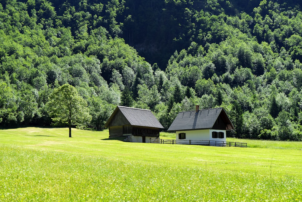 green grass field near green trees and house during daytime