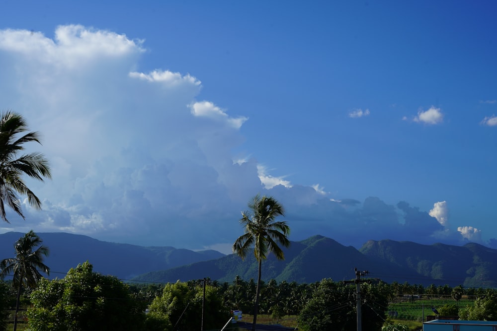 green trees and mountains under blue sky and white clouds during daytime