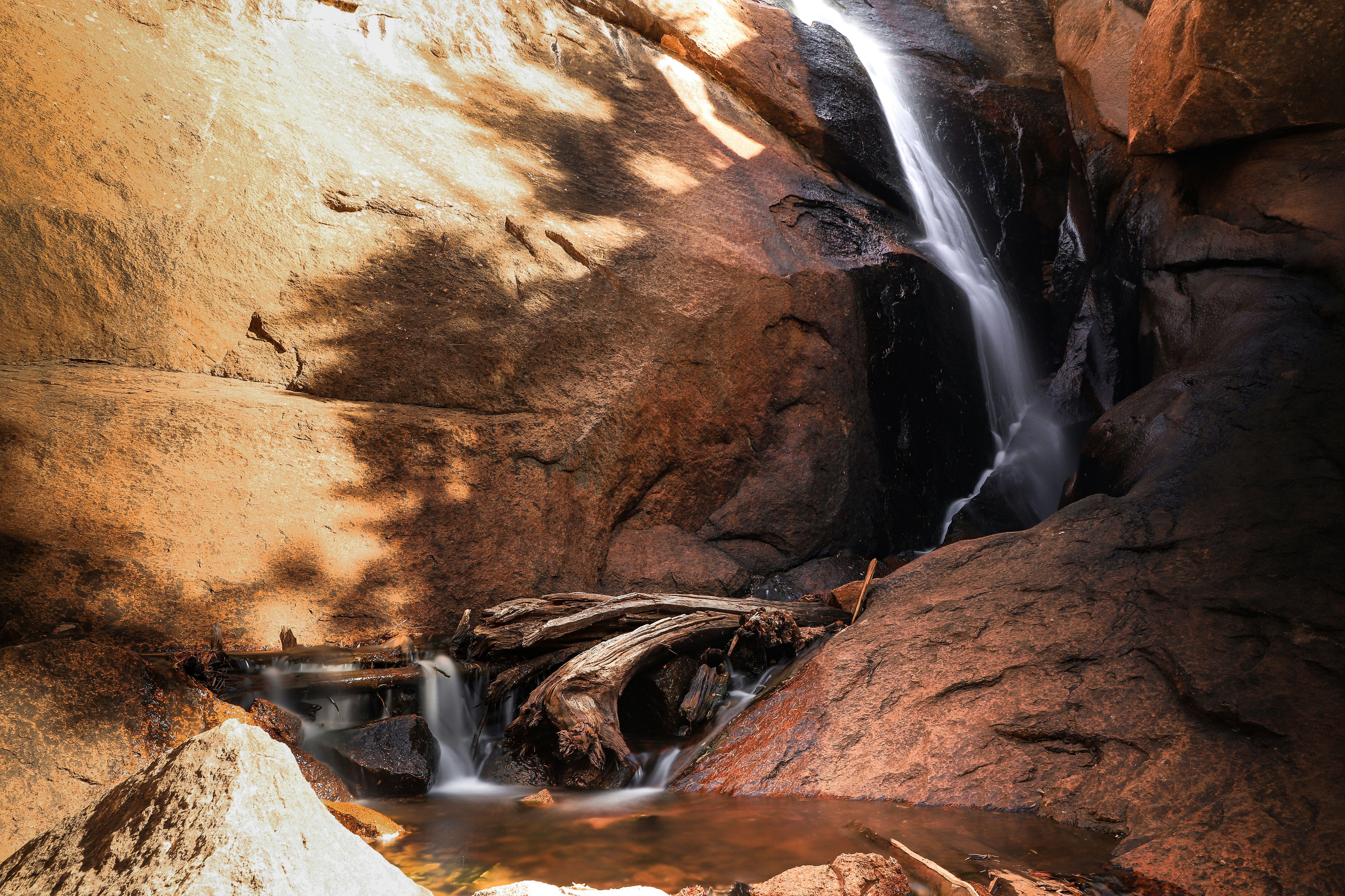 Photo by rycarp21photo