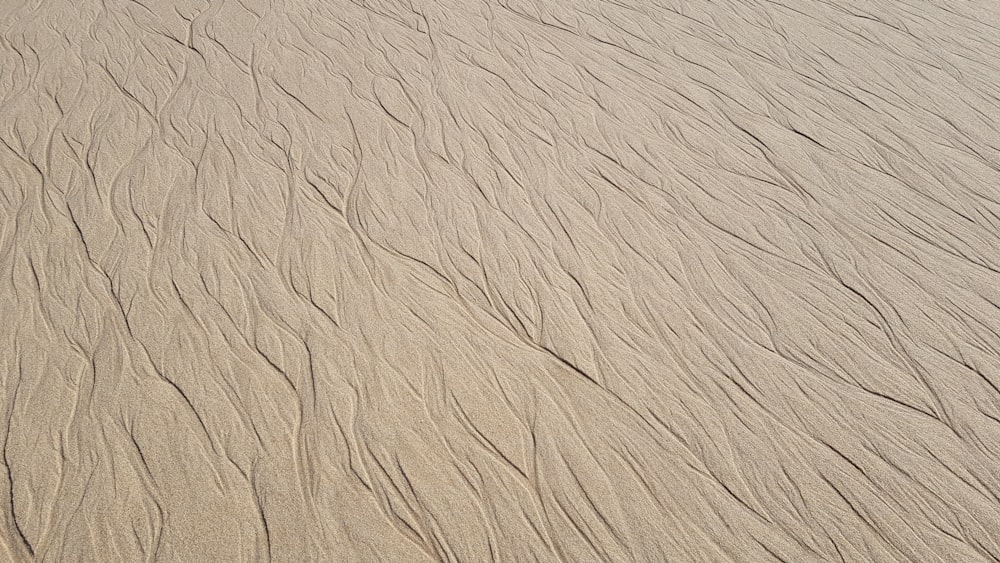 brown sand with black shadow