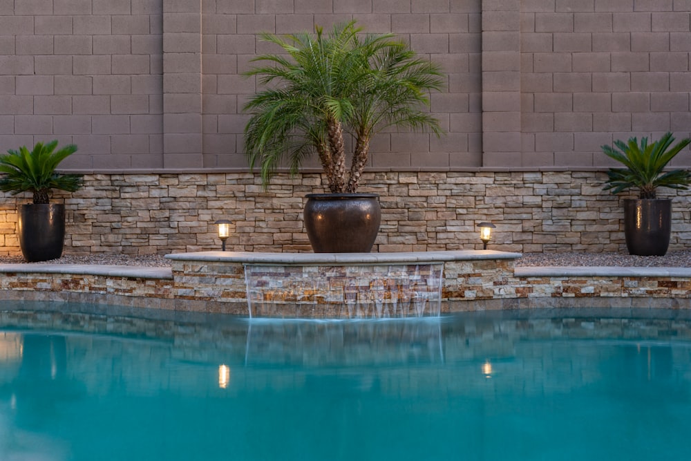 green potted plant on brown concrete floor