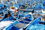 man in red jacket and blue denim jeans standing on blue and white boat during daytime