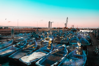blue and white boats on dock during daytime