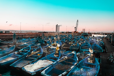 blue and white boats on dock during daytime