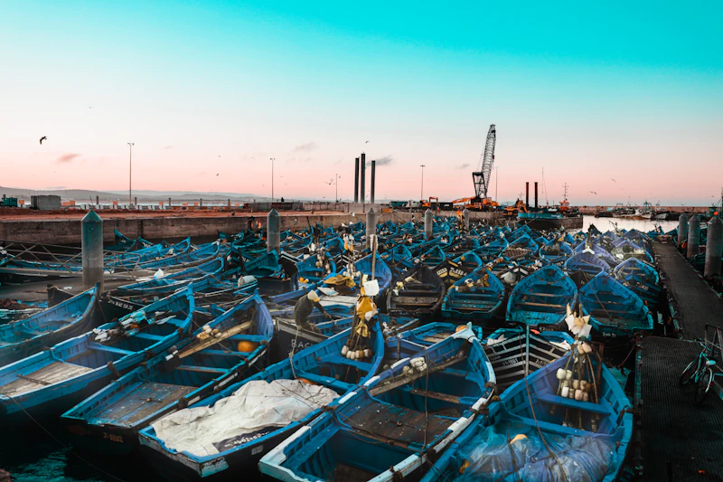 Essaouira en une Journée — Médina UNESCO & Océan - Photo 4