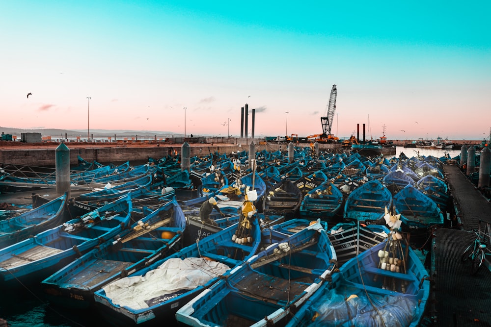 blue and white boats on dock during daytime