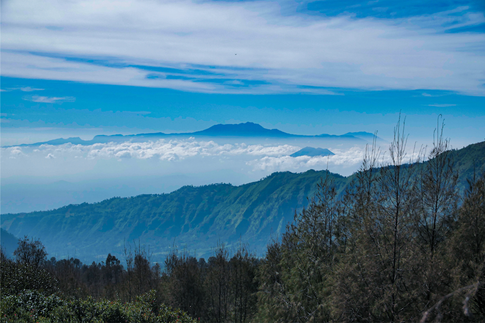 green trees near mountains under blue sky during daytime