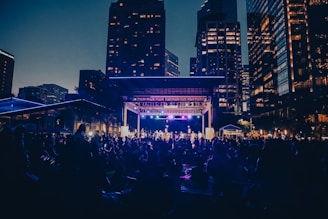 A public outdoor concert is taking place in a city setting during the evening. The stage is lit with colorful lights, and a large crowd of people are gathered in the foreground, sitting on the grass and enjoying the performance. Surrounding the scene are tall buildings with illuminated windows, creating an urban backdrop.