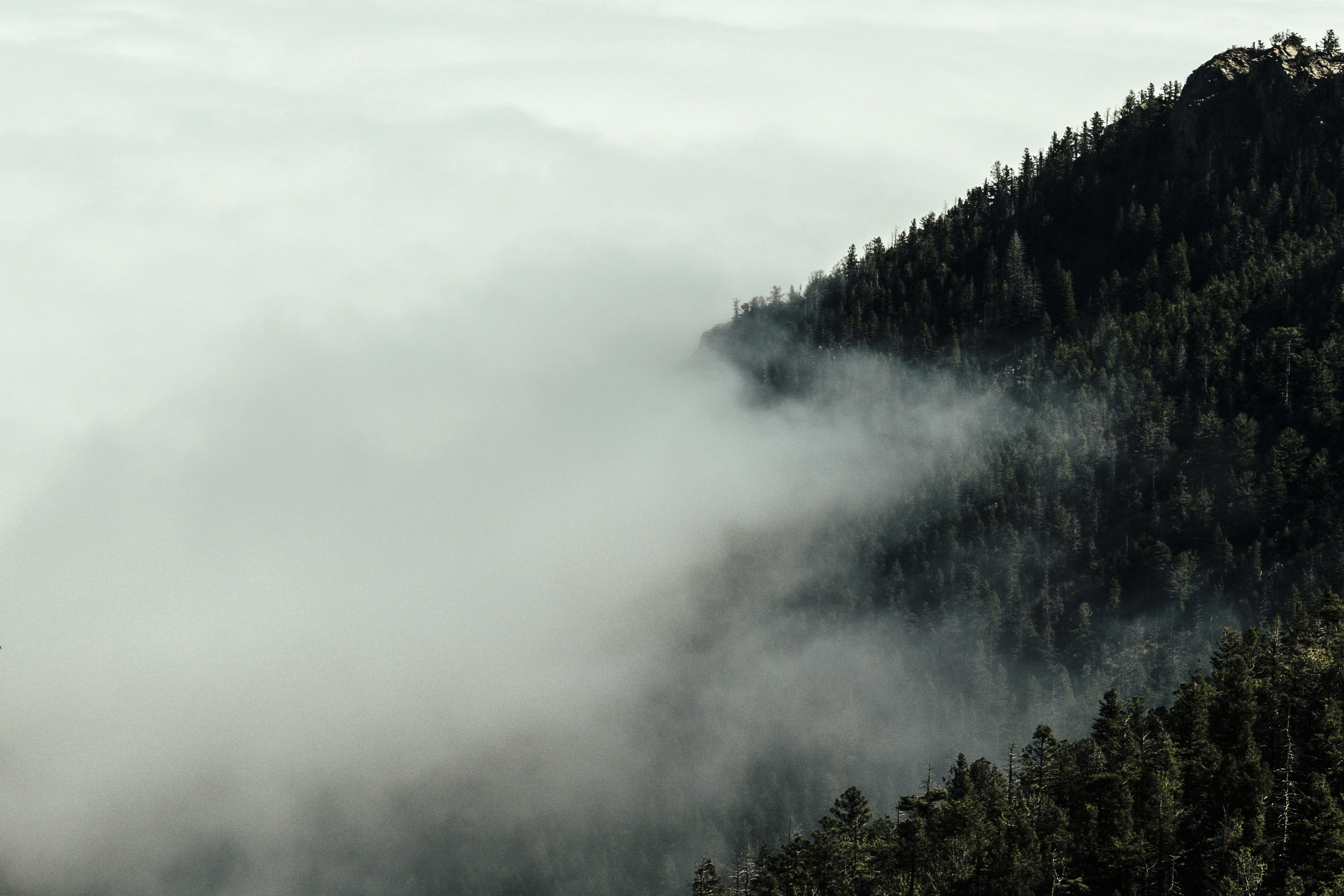 Photo by joetography