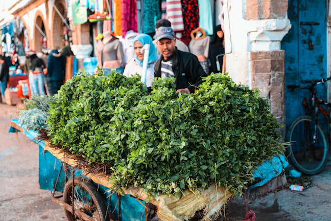 12-Day Morocco Family Itinerary: Kid-Friendly & Relaxed