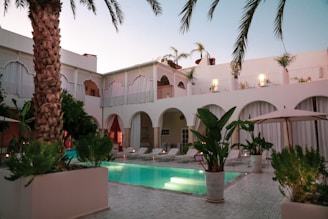 white concrete building near green palm trees during daytime