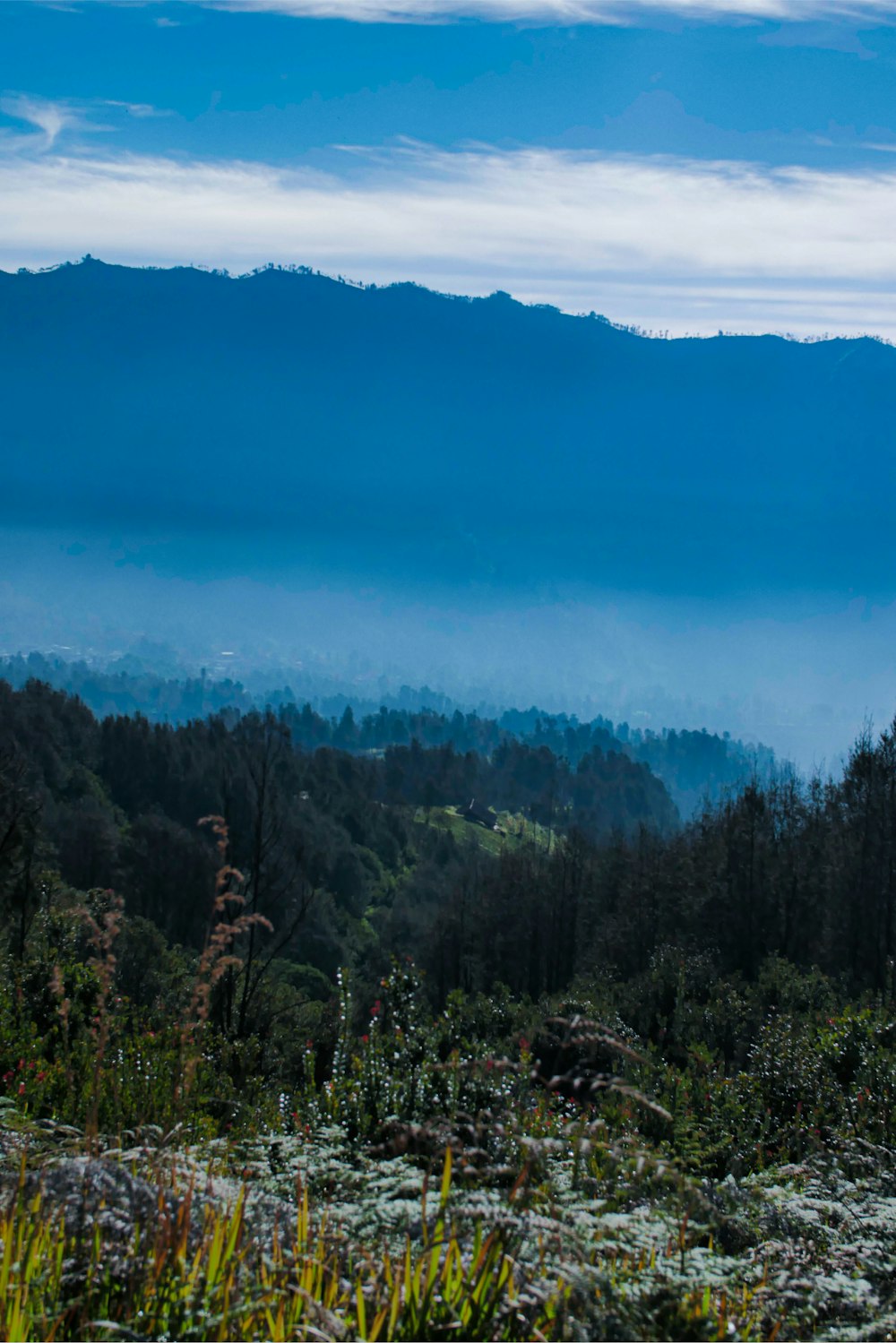 a view of a mountain range in the distance