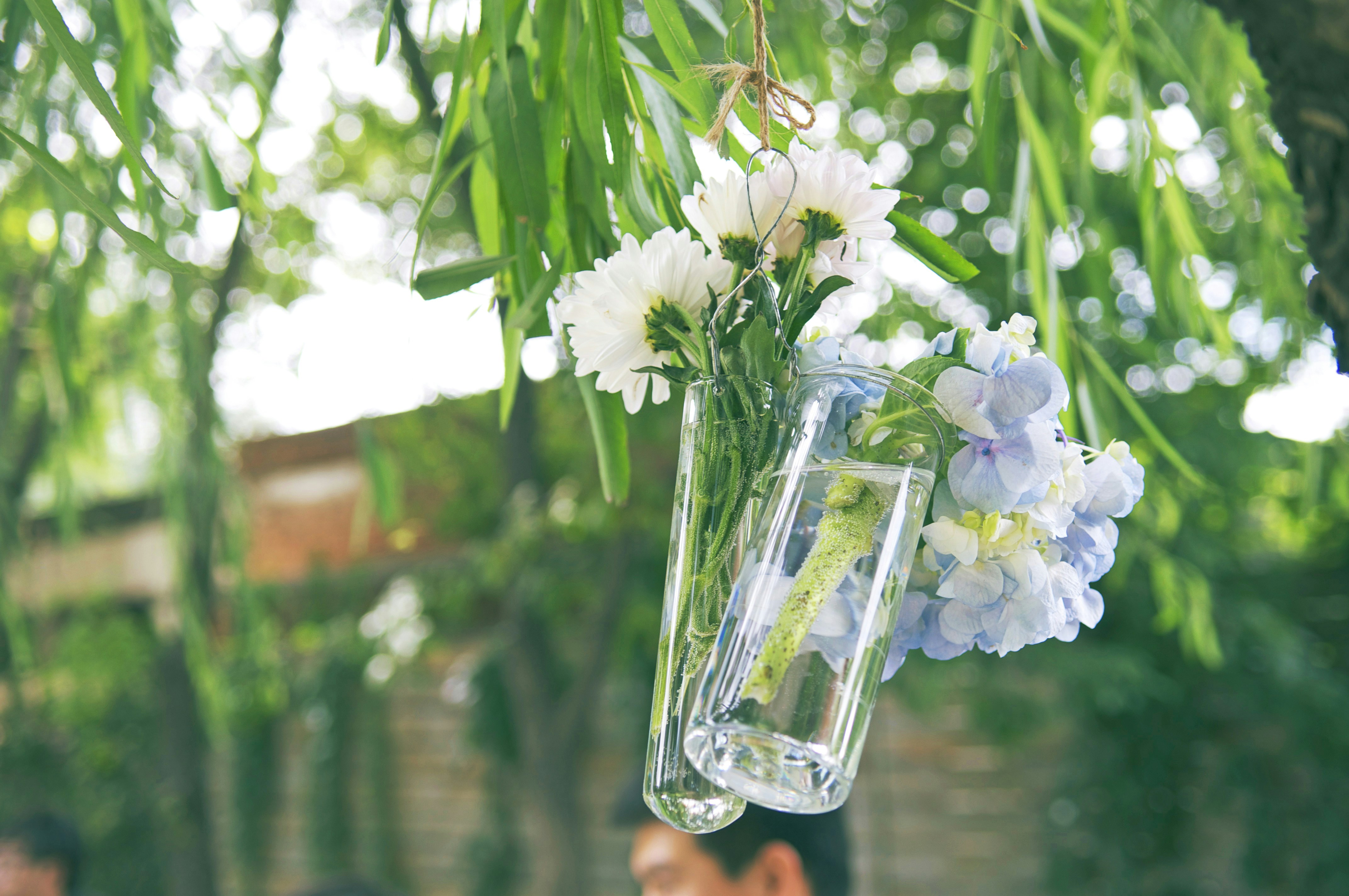 White flowers in clear glass vase photo Free Chaoyang Image on Unsplash