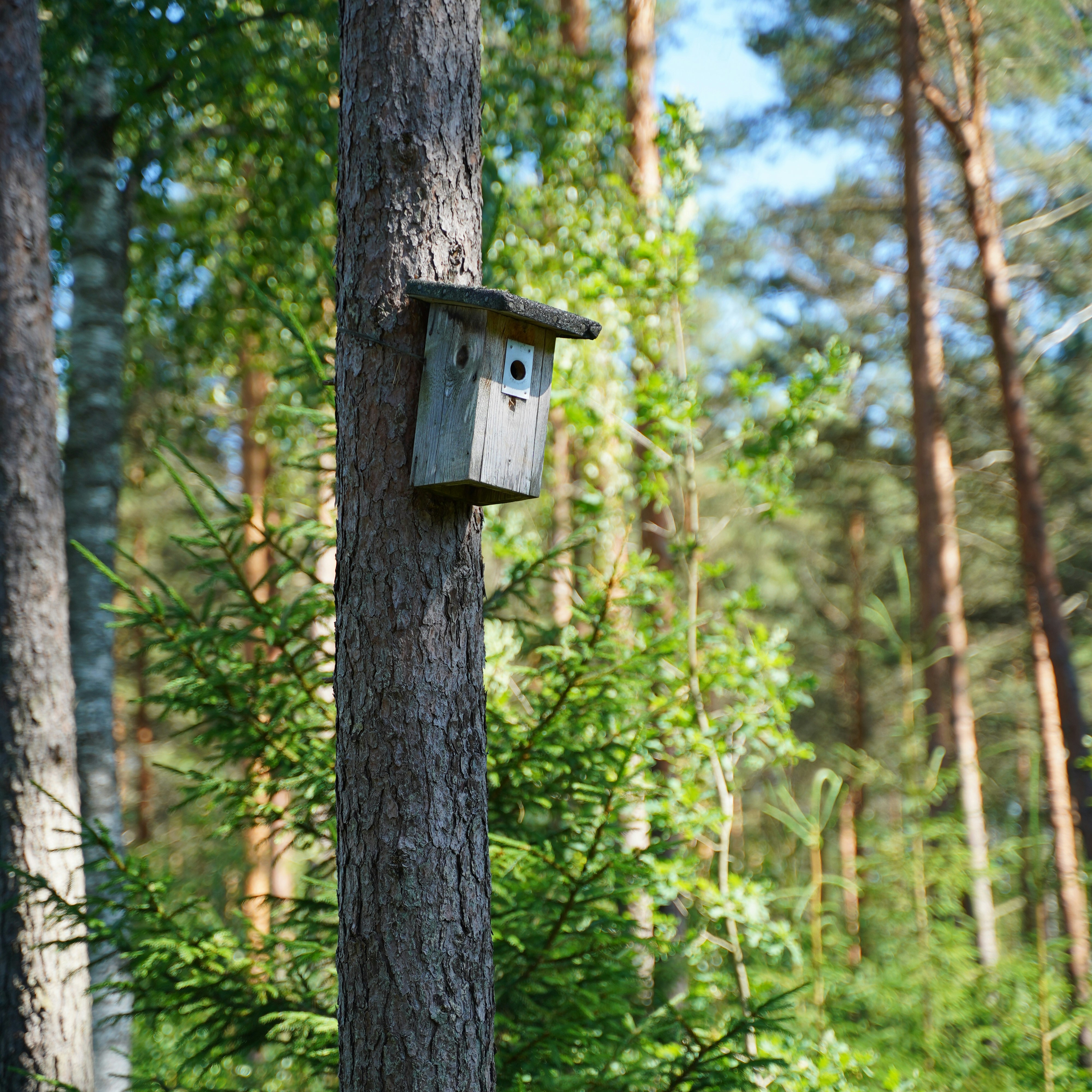 Photo by karographix