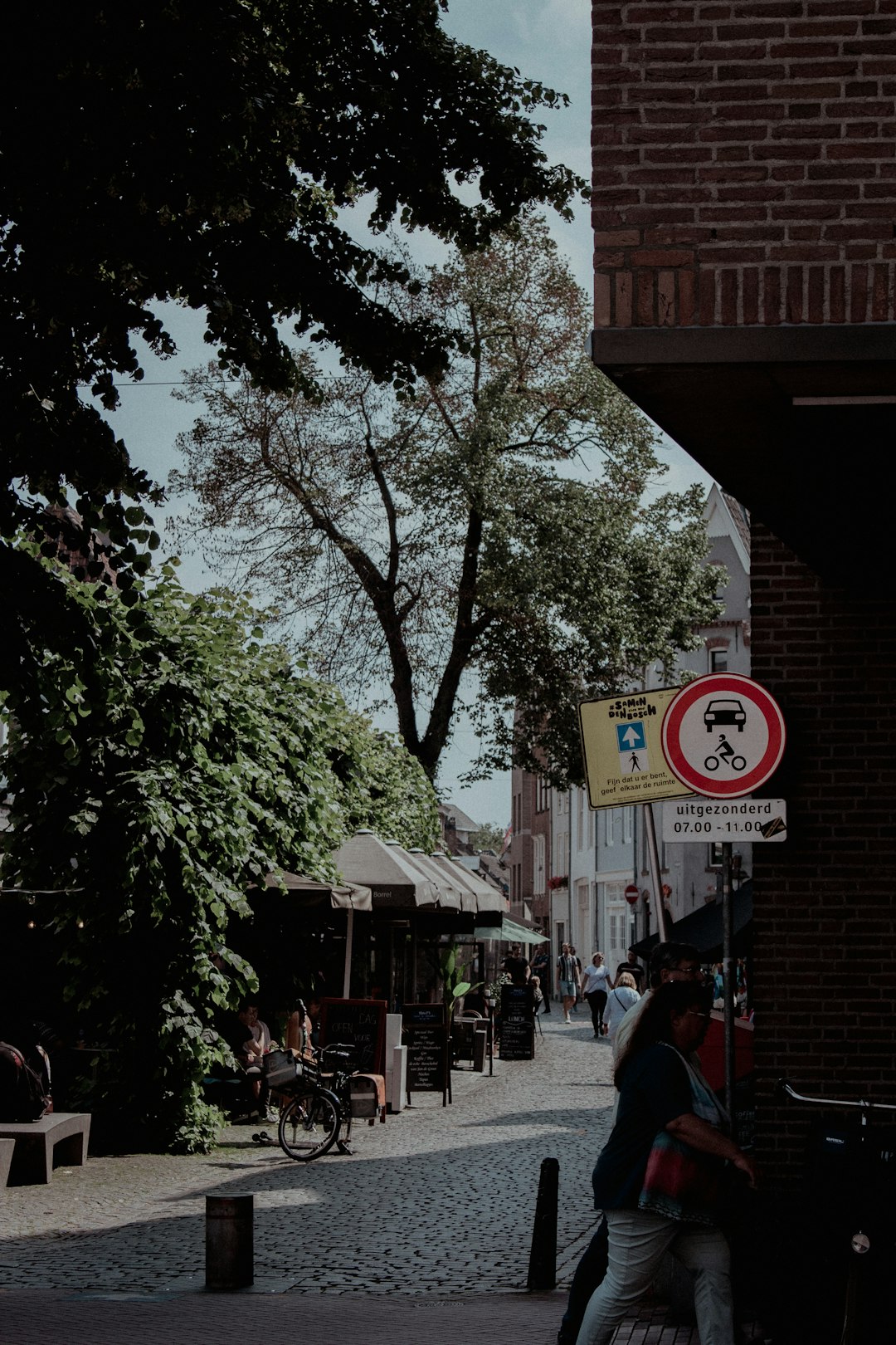 red and white street sign near green tree during daytime