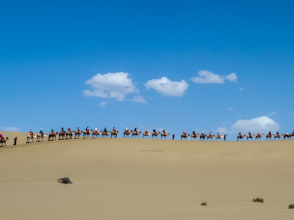 people on beach during daytime