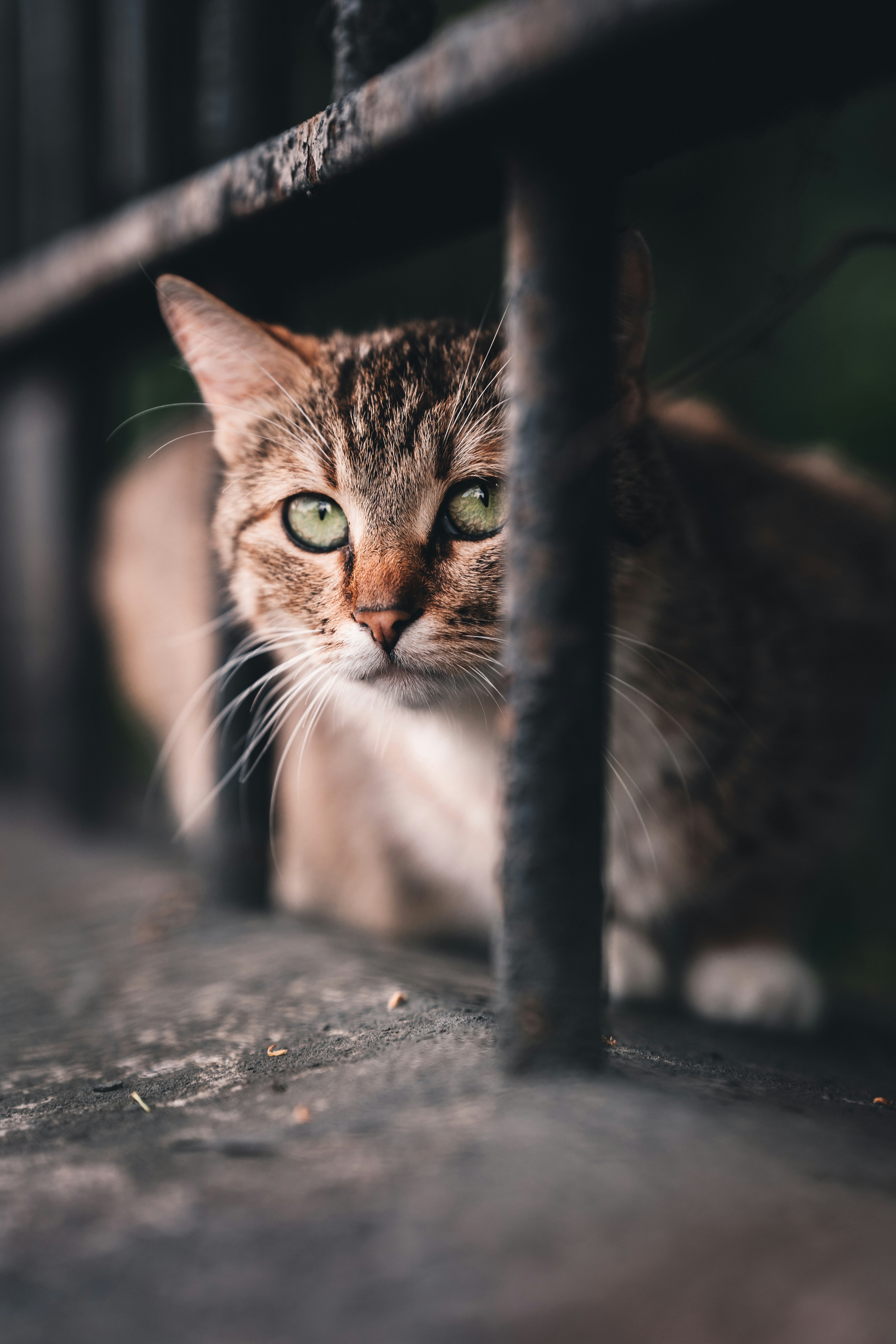 Photo by maksym_tymchyk