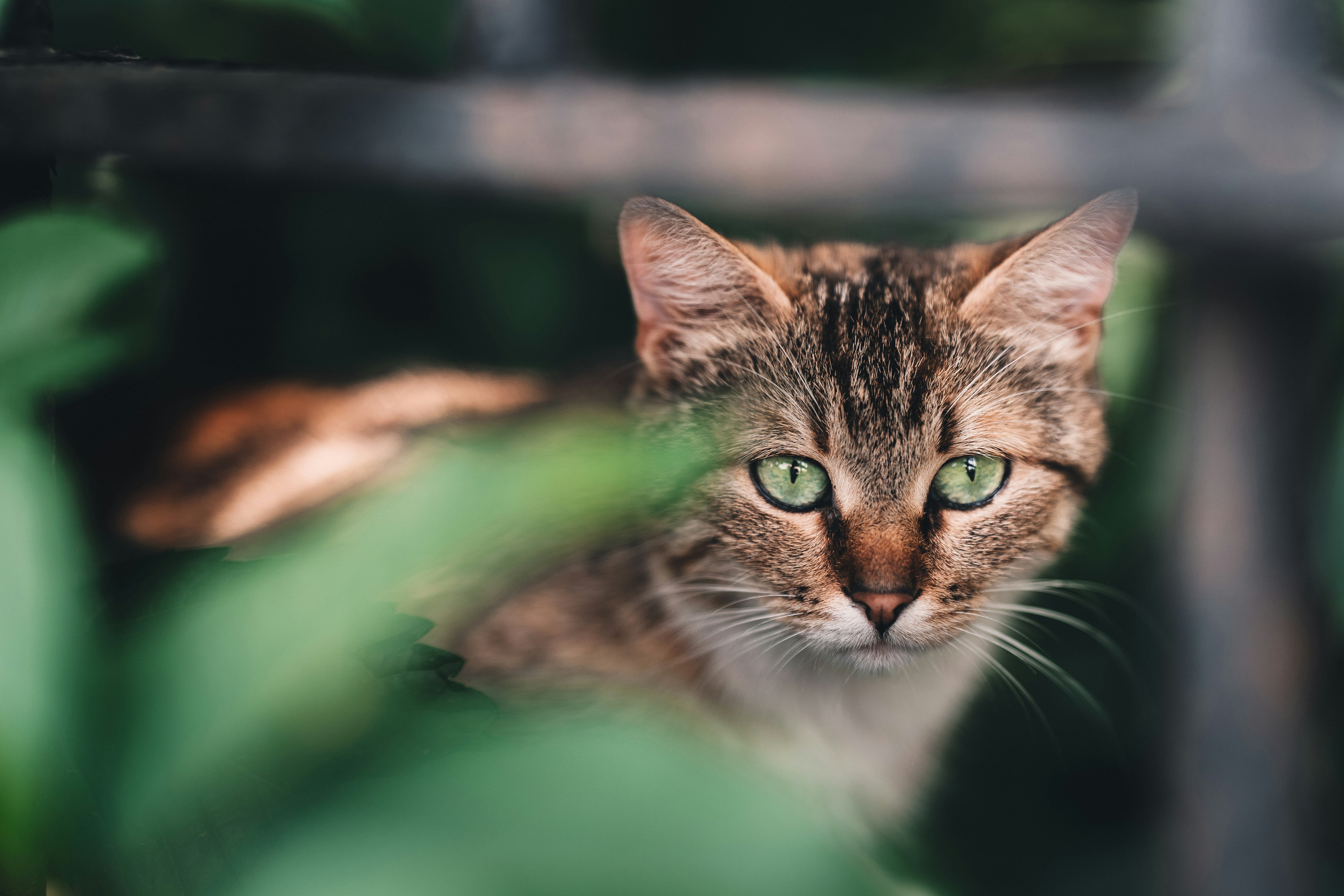 Photo by maksym_tymchyk