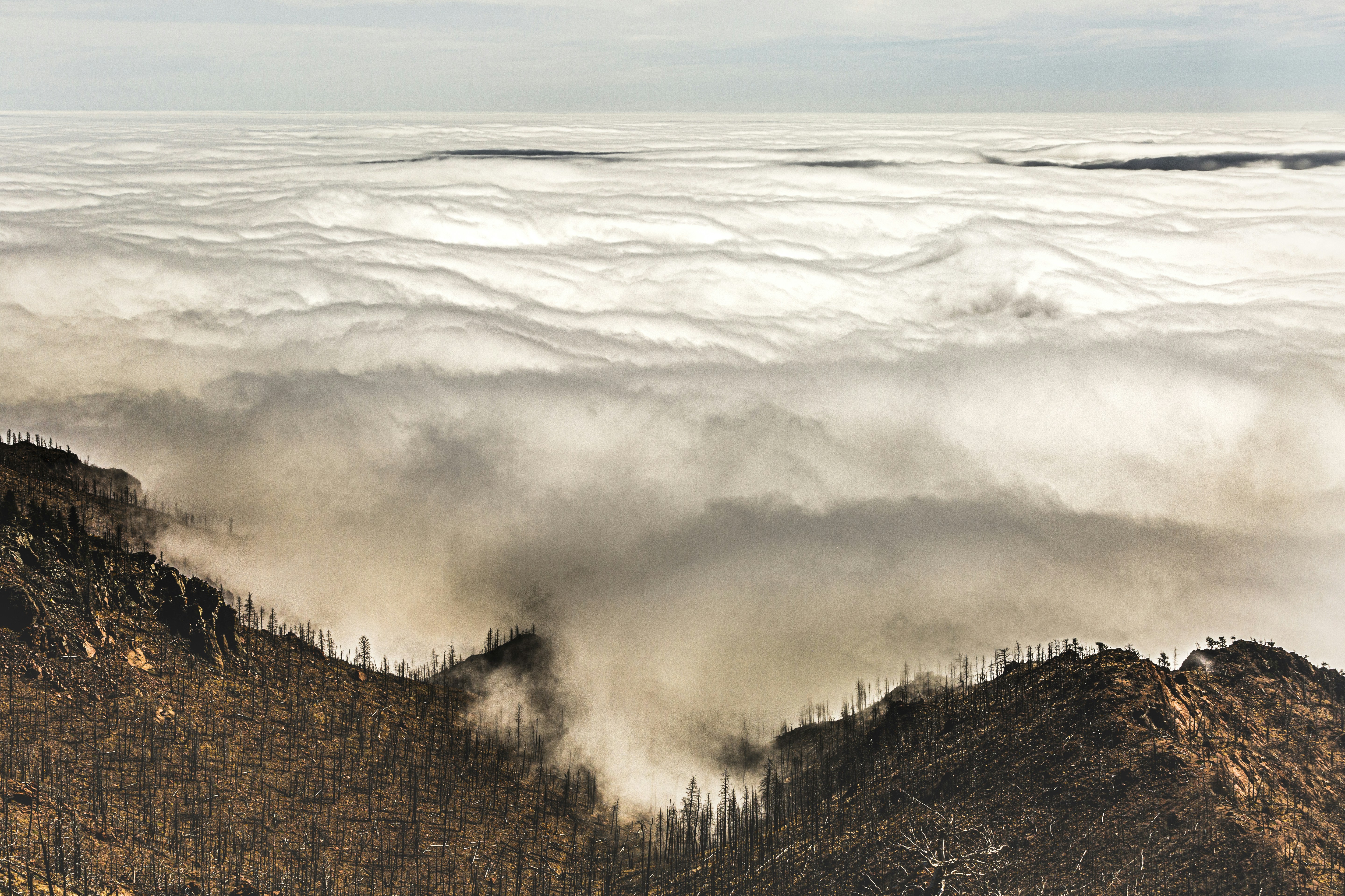 Colorado Springs cityscape