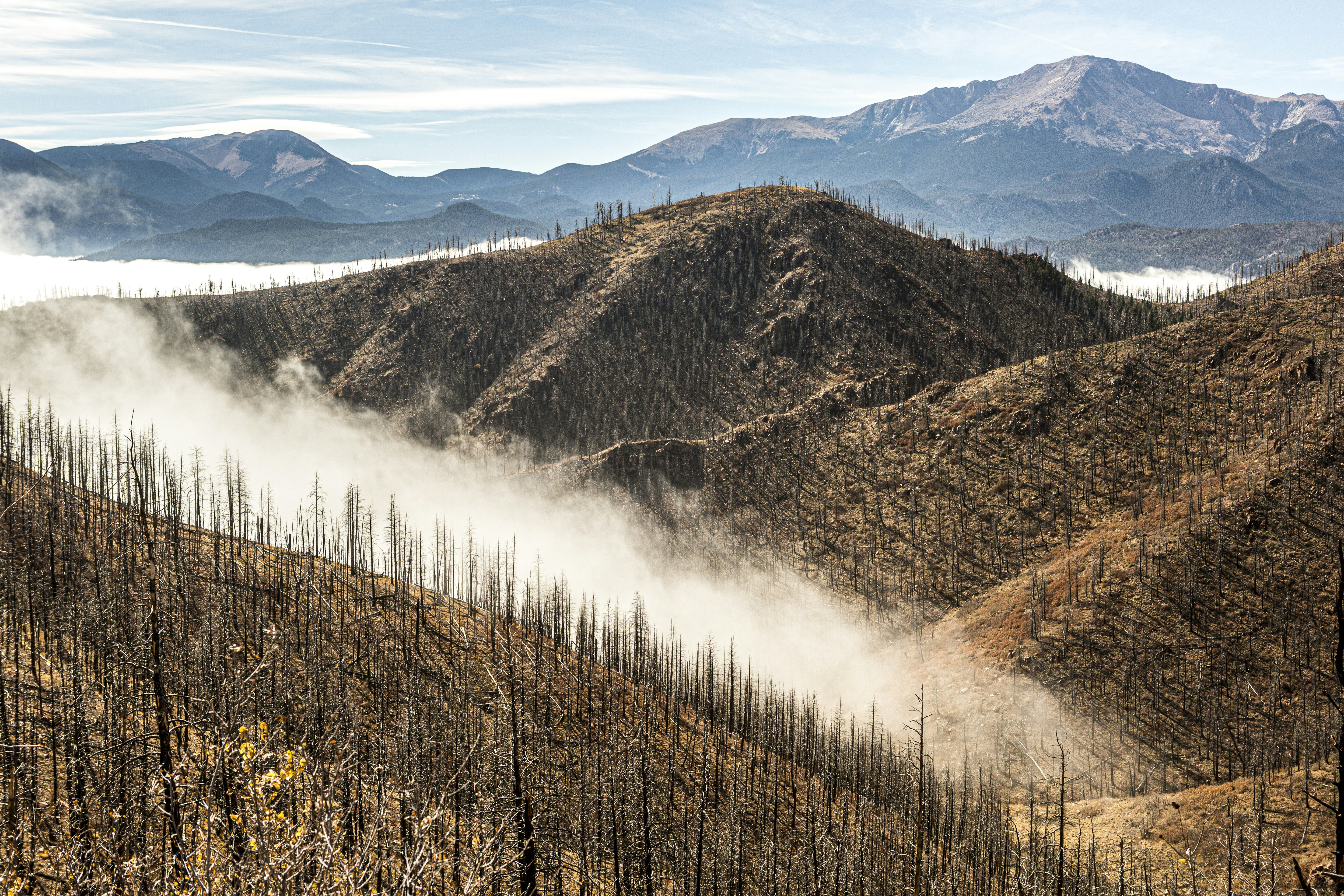 brown and green trees near mountain during daytime