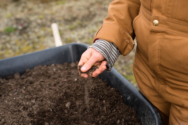 person holding black soil