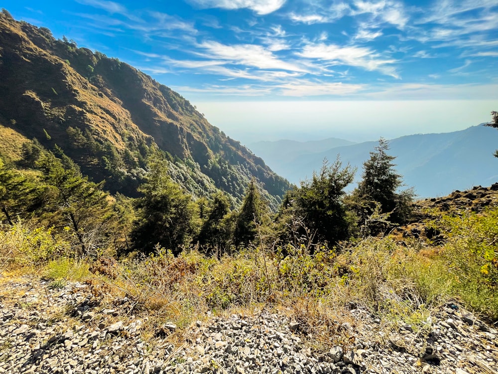 green trees on mountain under blue sky during daytime