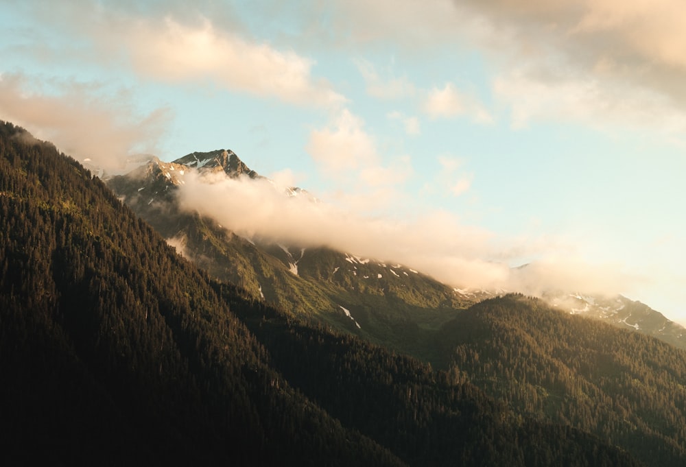 green and brown mountains under white clouds during daytime