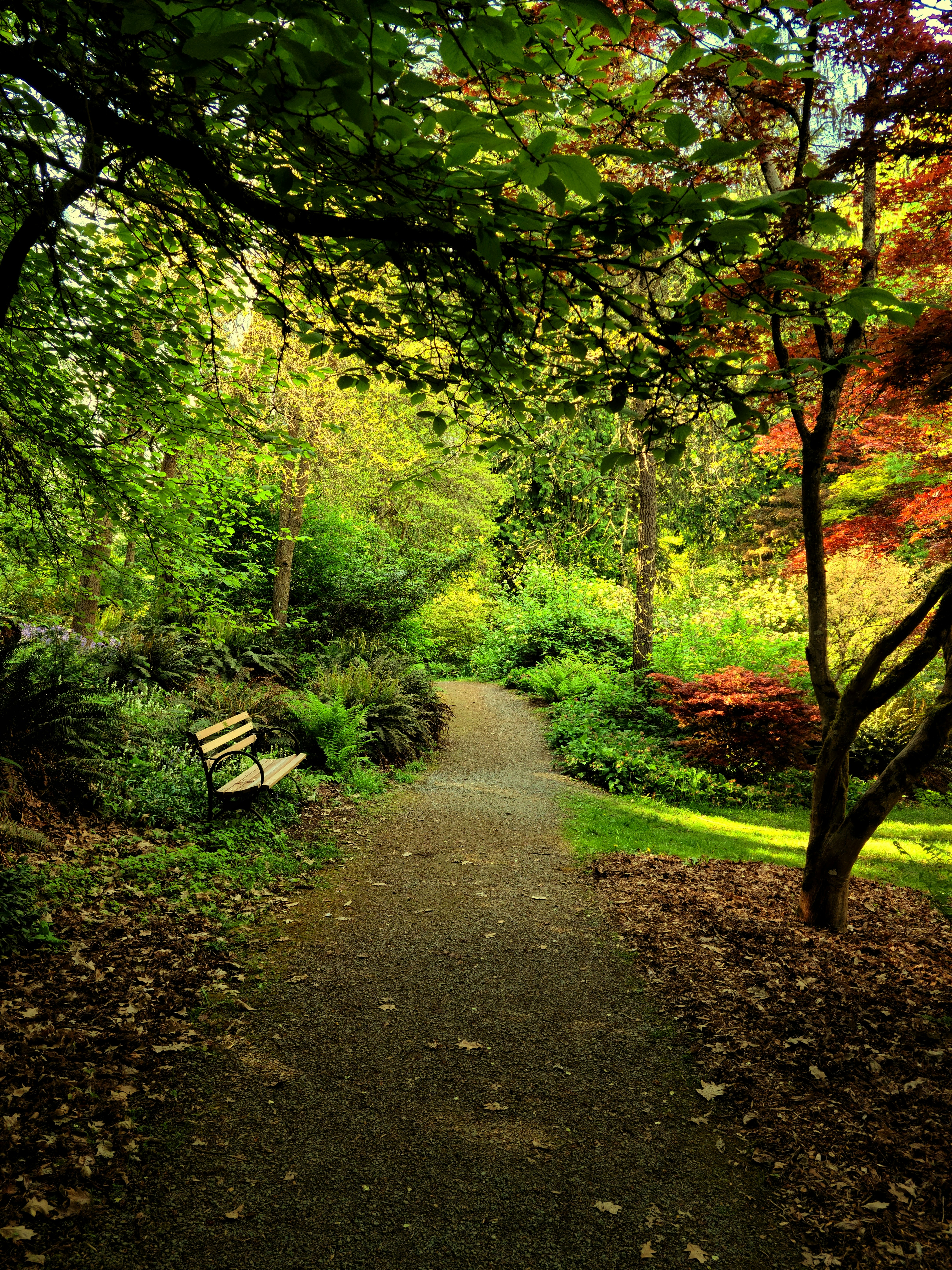 Photo by a_careless_human