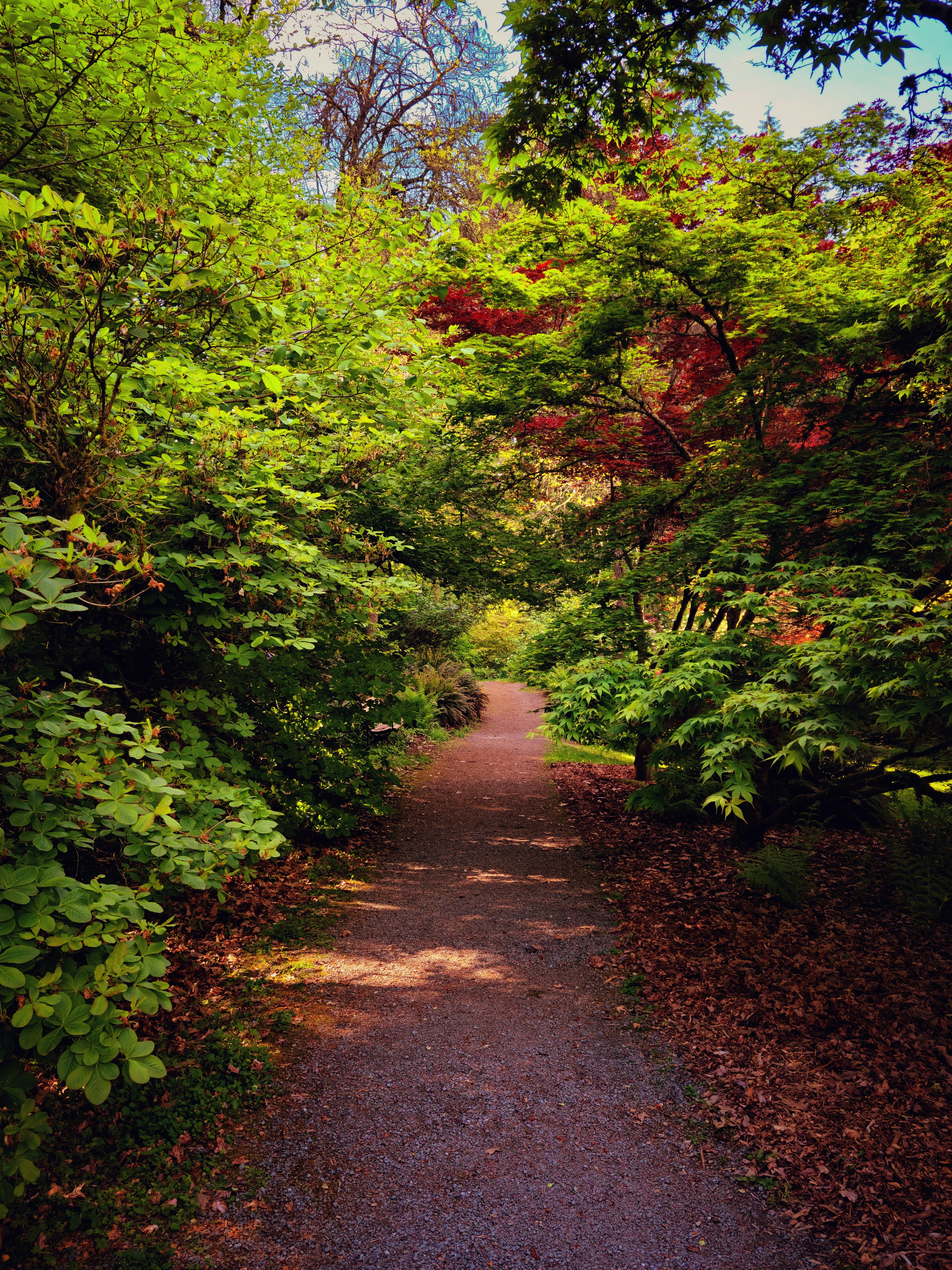 Photo by a_careless_human