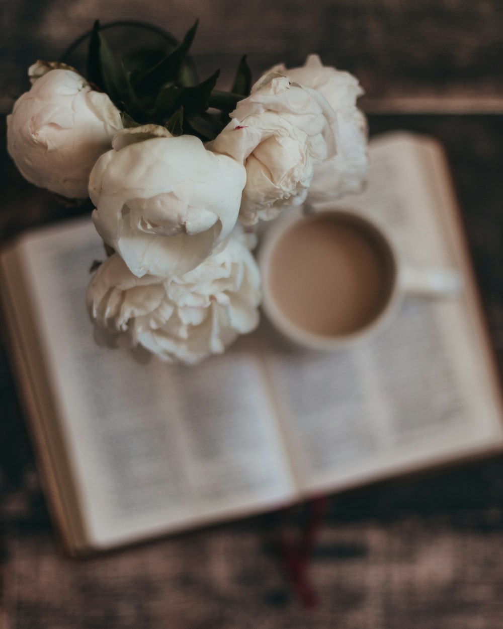 white roses on white book page