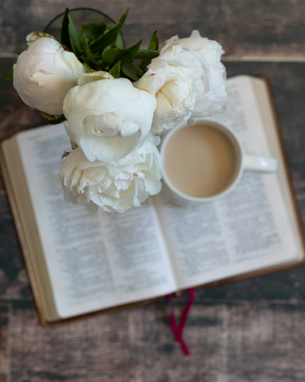 white roses on book page