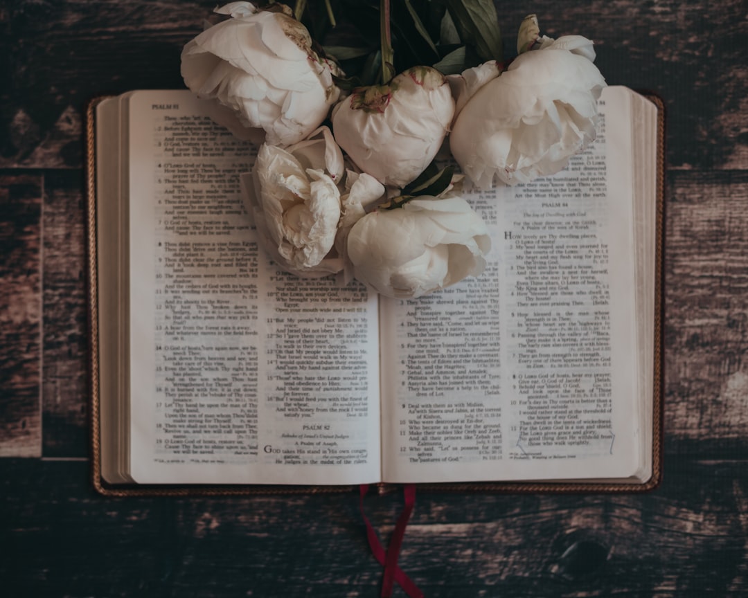 white rose on book page