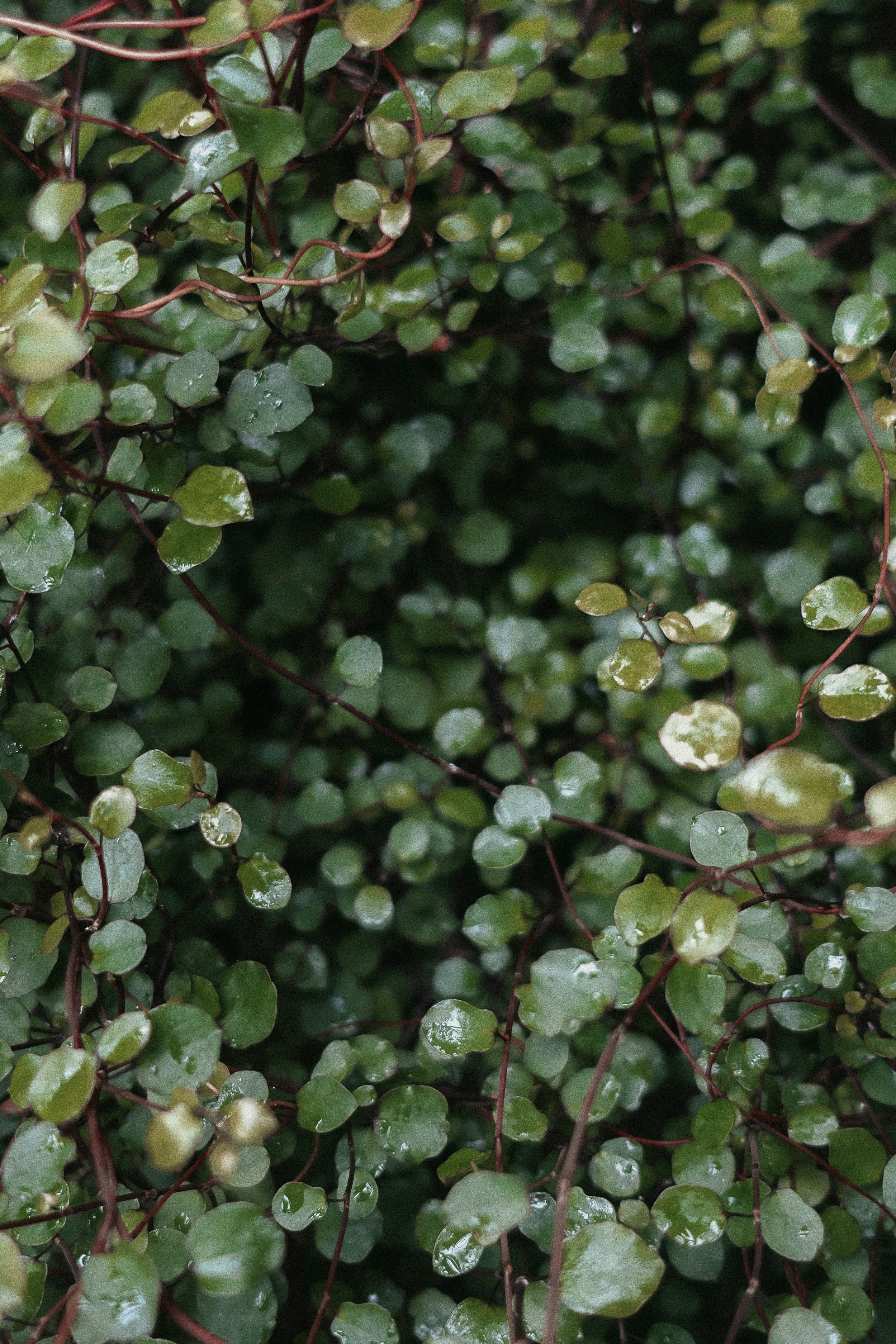 Photo by kikgorbachevskiy