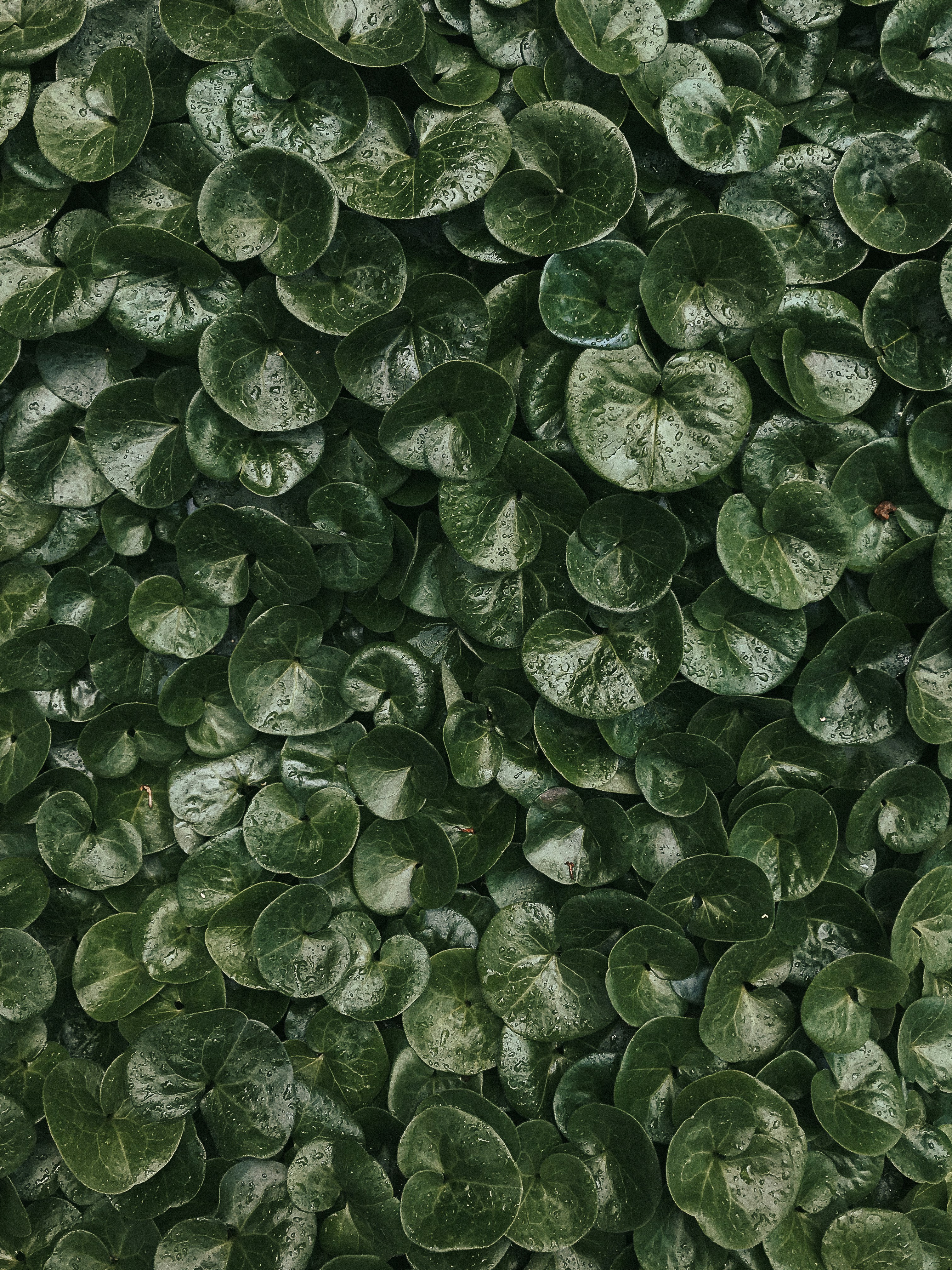 Photo by kikgorbachevskiy