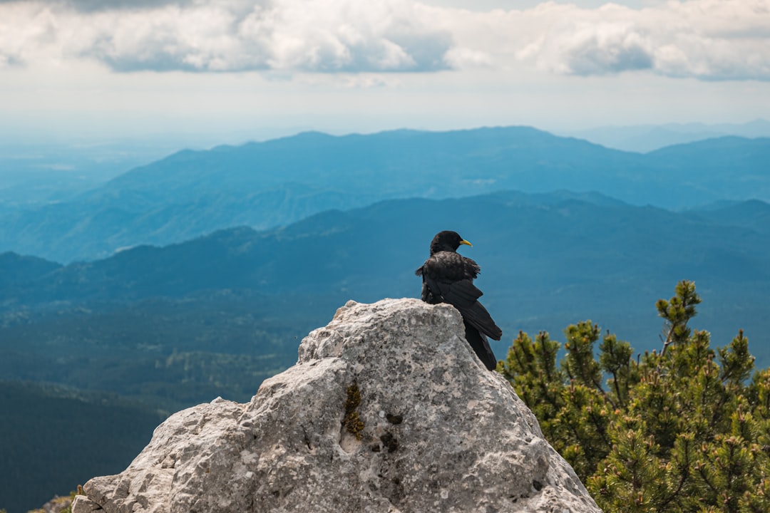 Highland photo spot Debela peÄ� Triglav National Park