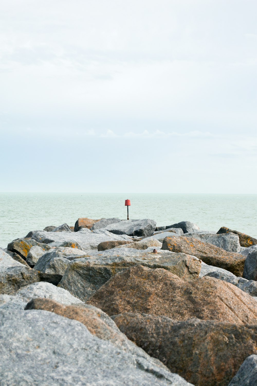 person in red shirt standing on gray rock near body of water during daytime