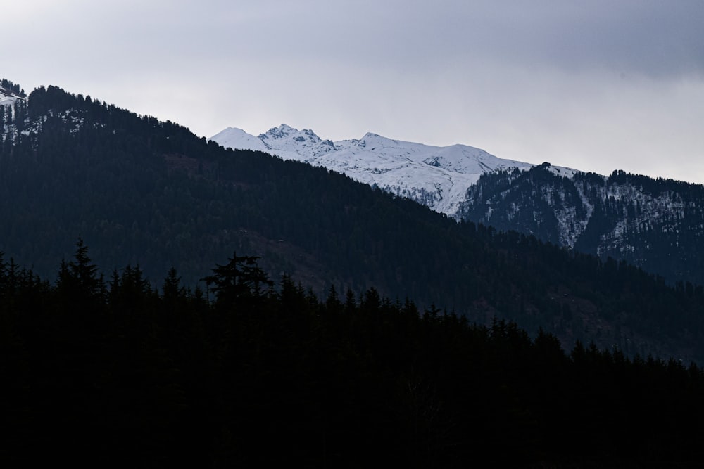 green trees near mountain during daytime