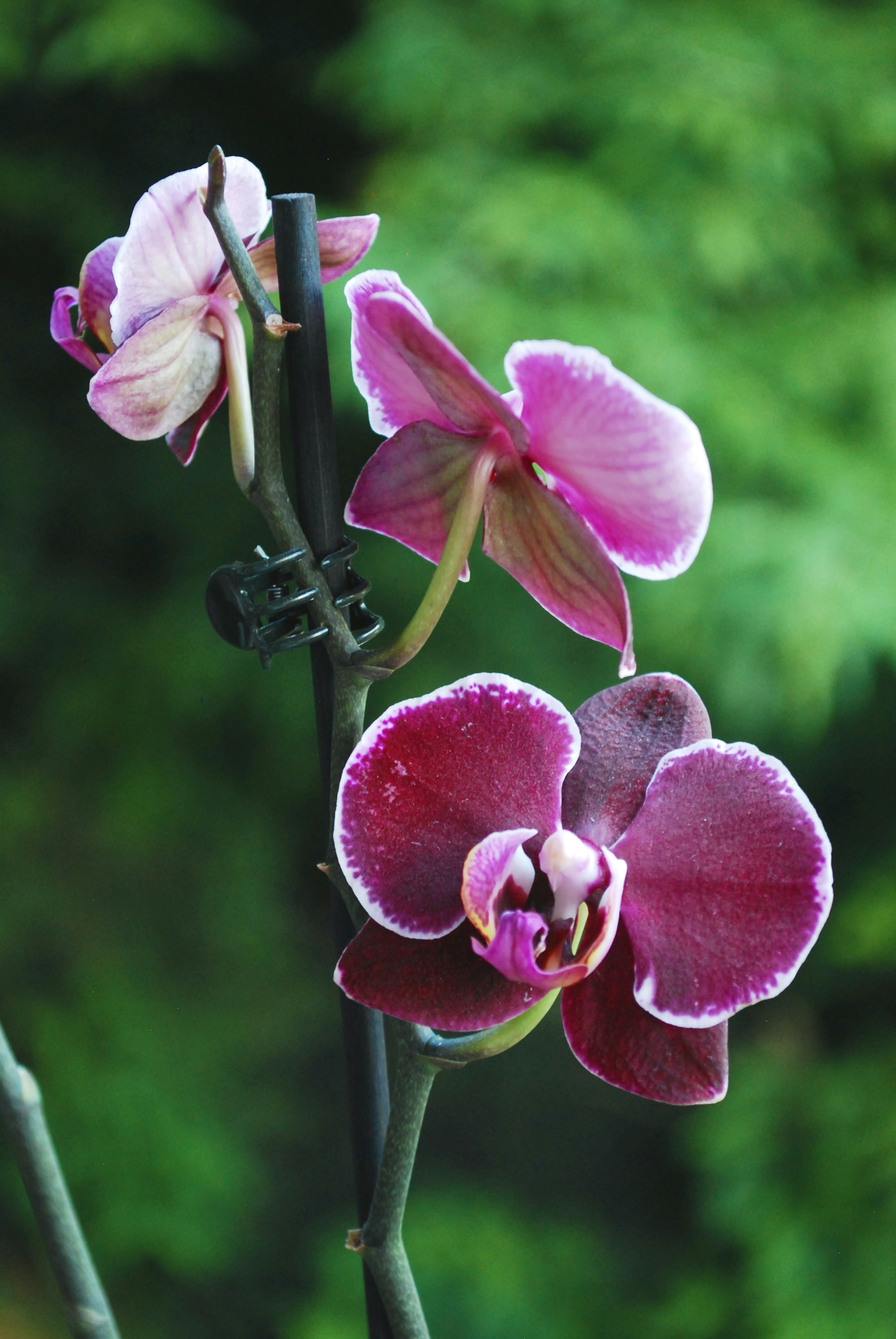 Photo by origamiaround