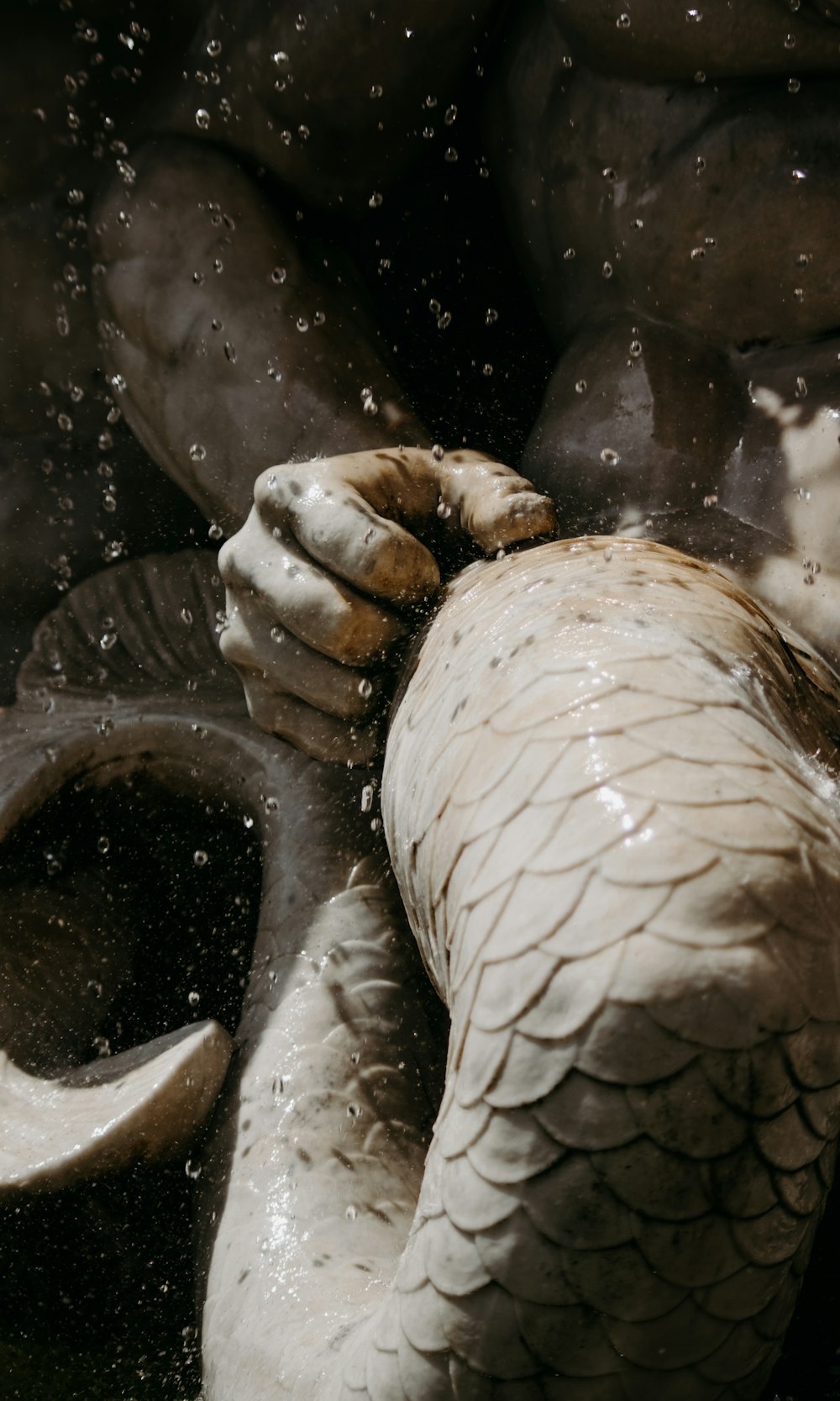 persons hand with water