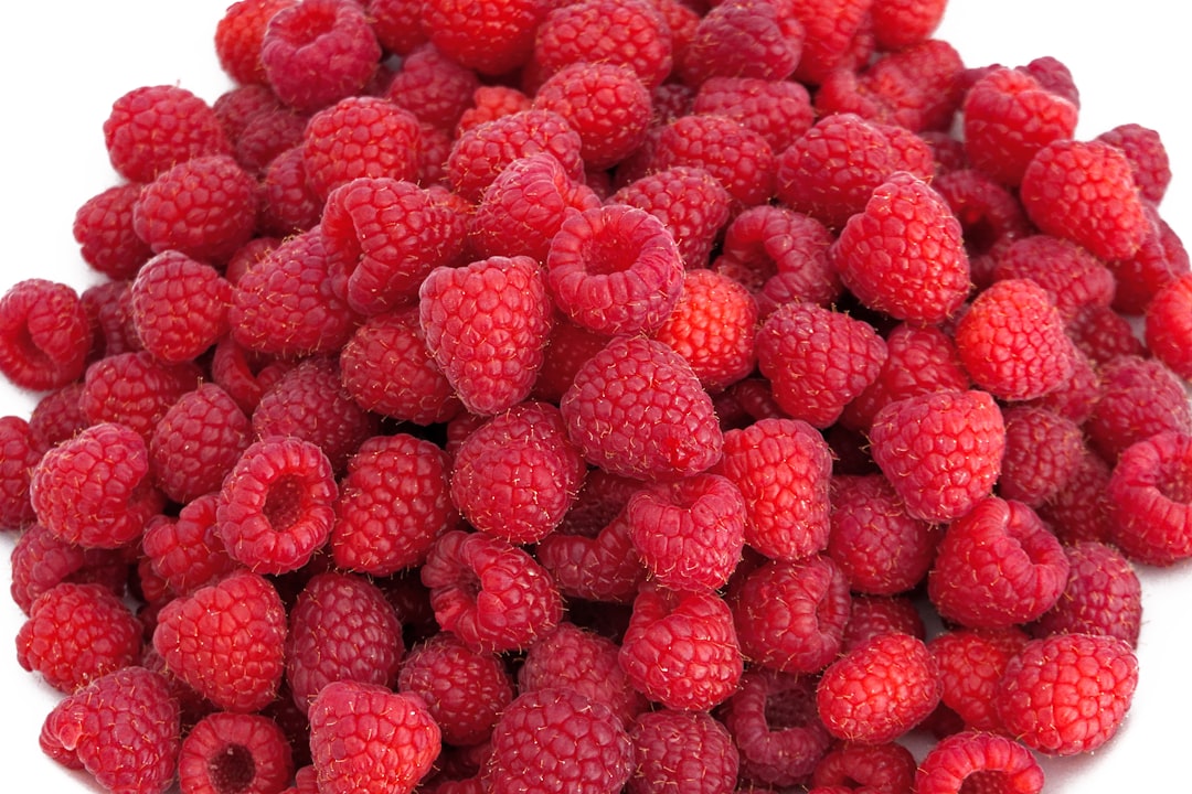 red raspberry fruits on white background