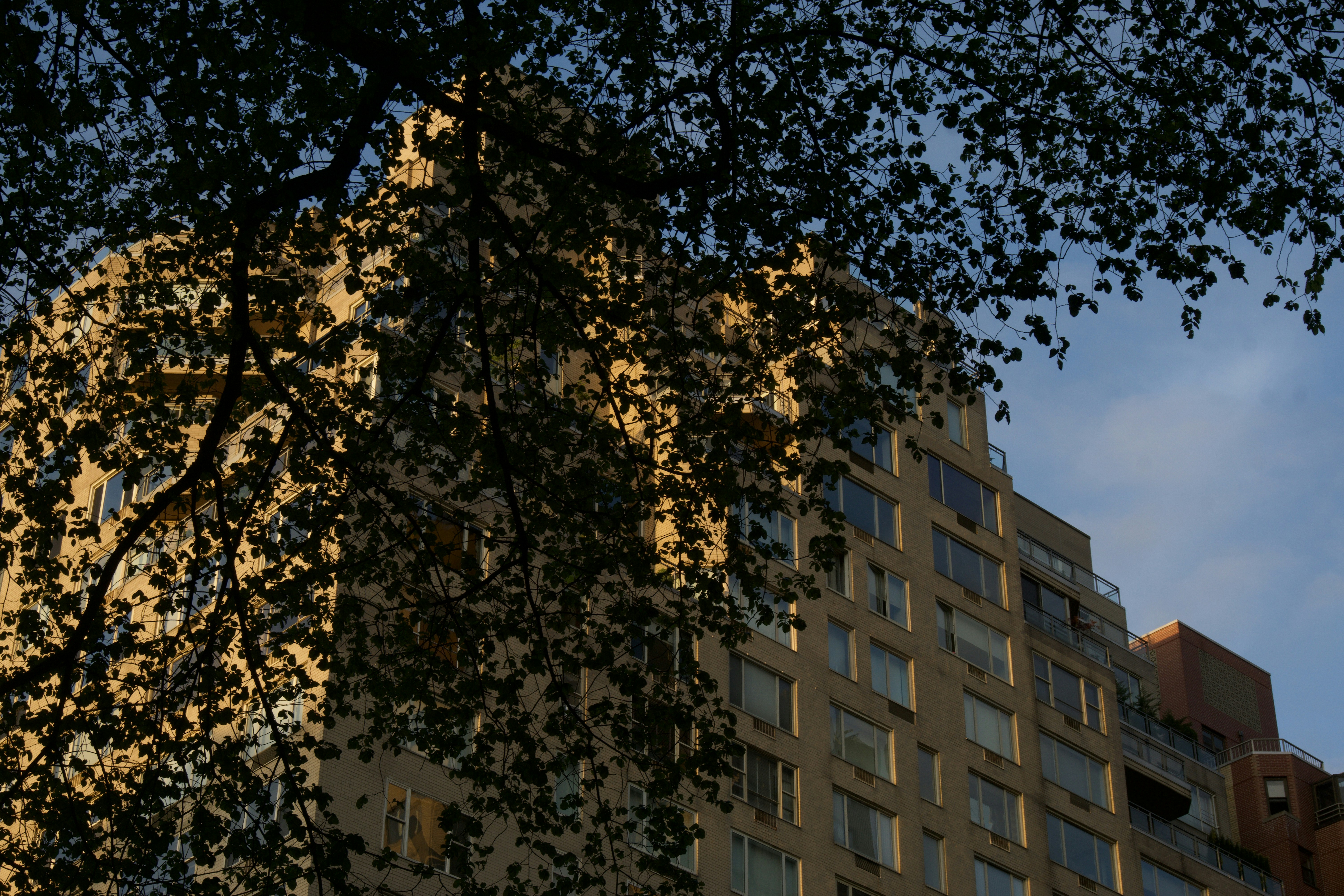 Photo by clayleconey