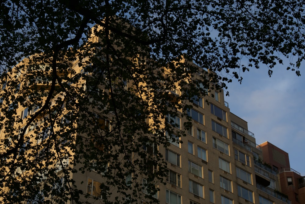 white concrete building near green trees during daytime