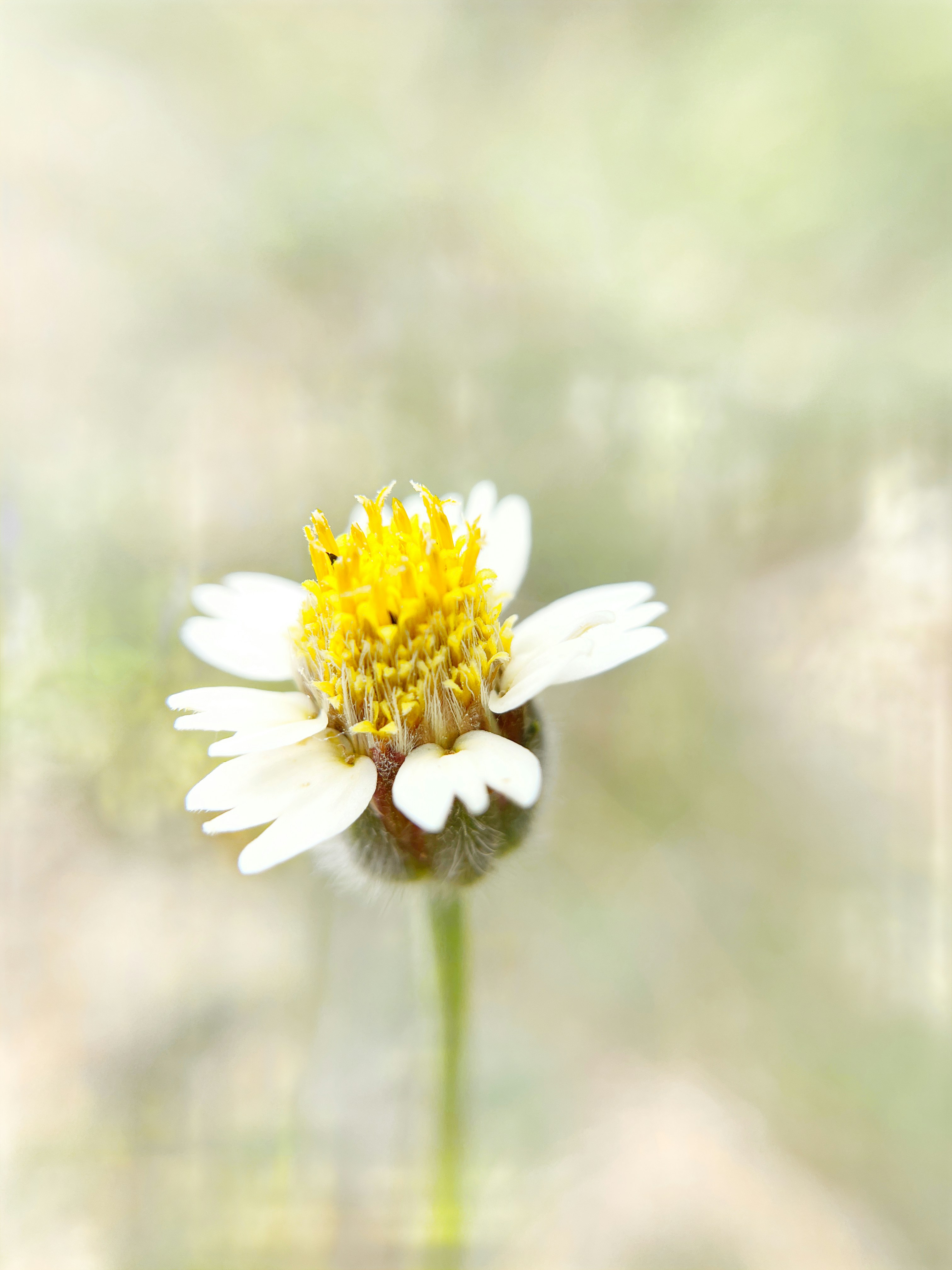 Photo by rainmaker_jz