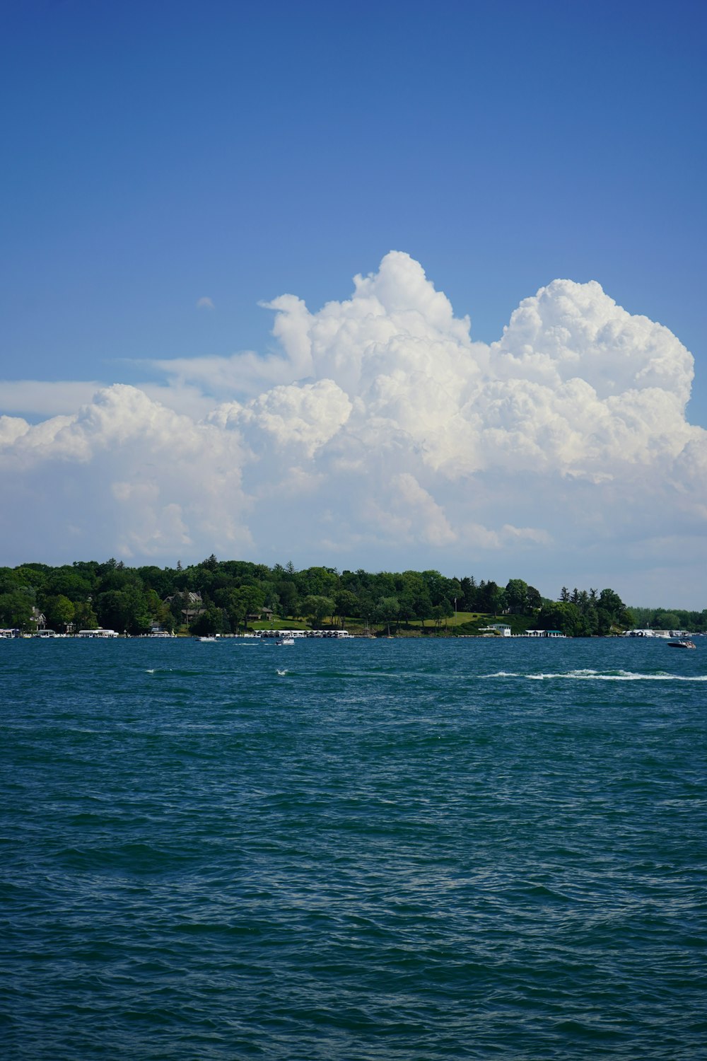 green trees on island during daytime