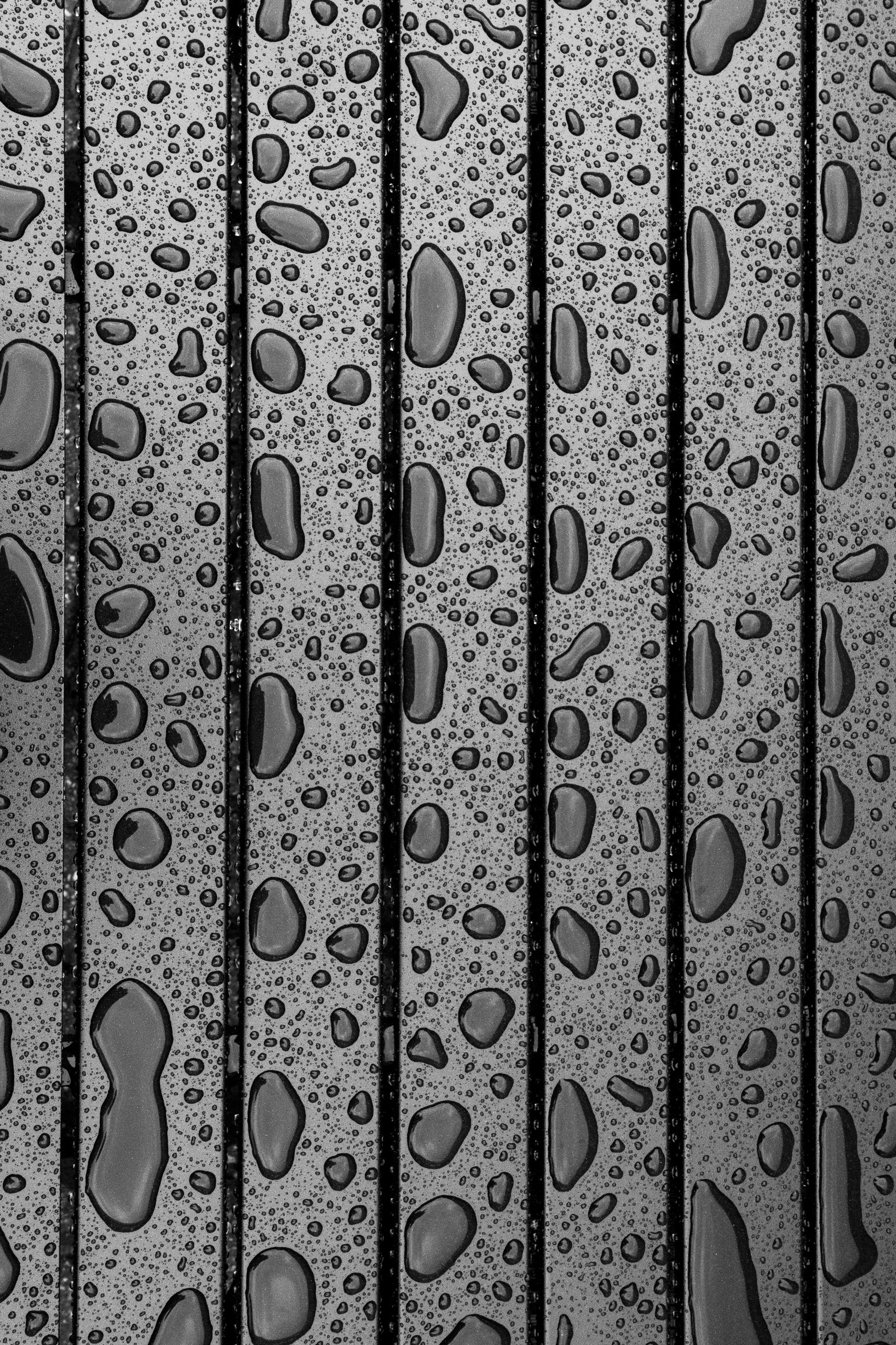 Photo by jannerboy62