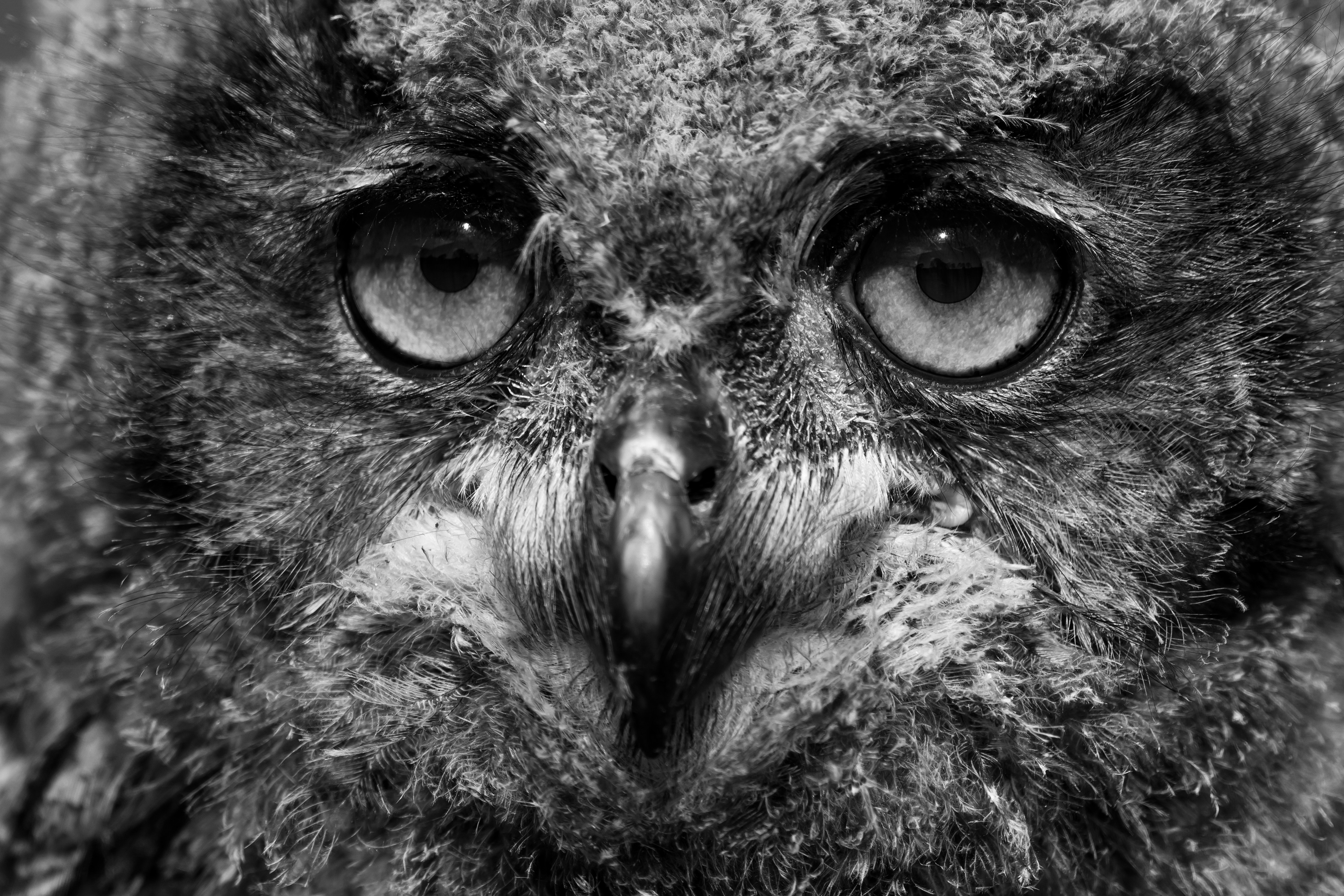 Photo by vincentvanzalinge